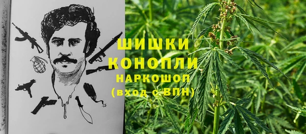 трава Зерноград