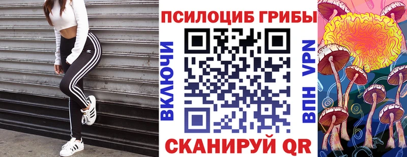Галлюциногенные грибы Cubensis  Купить закладки  Мариинский Посад 
